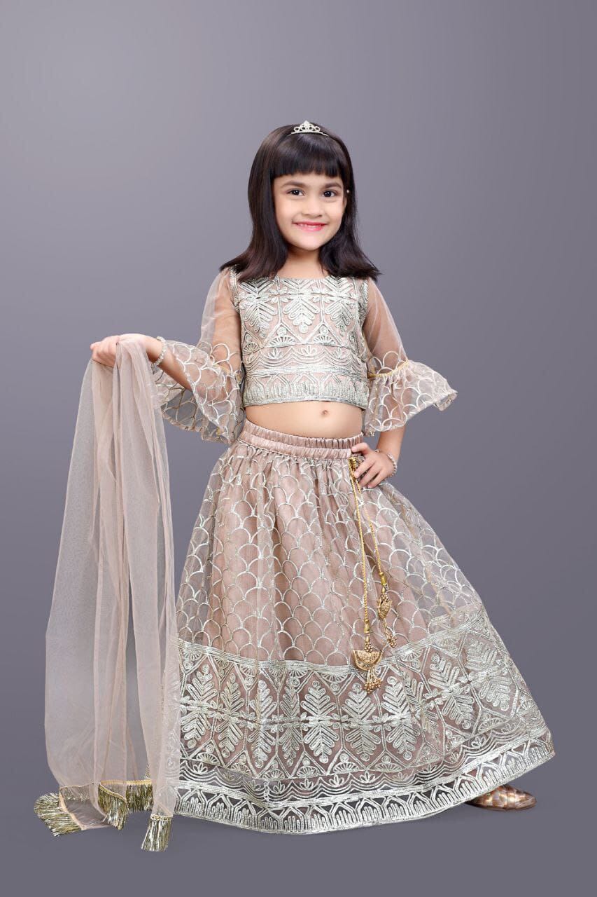 Kids Readymade Grey Embroidery Lehenga Choli Kid's Lehenga Shopin Di Apparels 