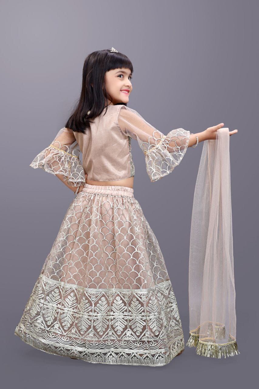 Kids Readymade Grey Embroidery Lehenga Choli Kid's Lehenga Shopin Di Apparels 