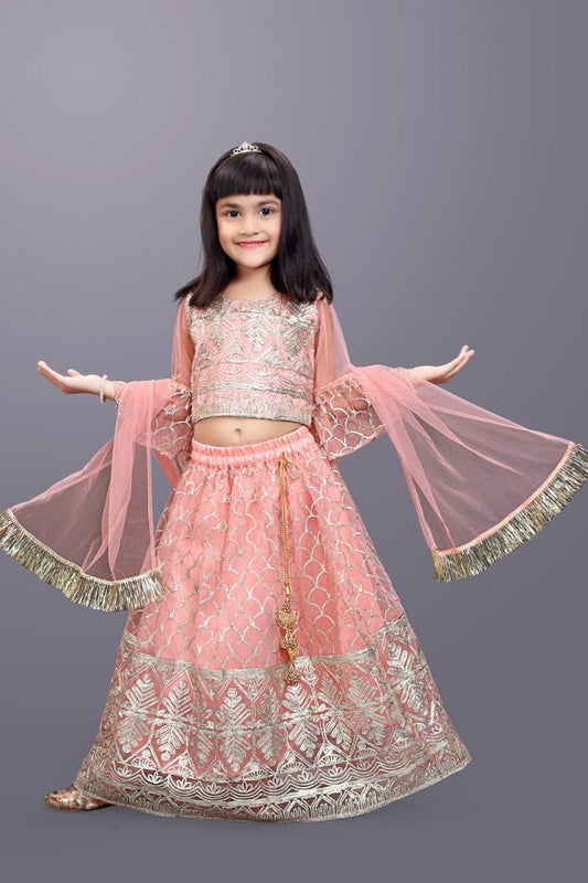 Kids Readymade Peach Embroidery Lehenga Choli Kid's Lehenga Shopin Di Apparels 