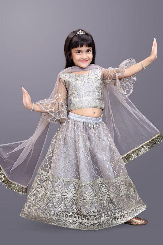 Kids Readymade Silver Embroidery Lehenga Choli Kid's Lehenga Shopin Di Apparels 